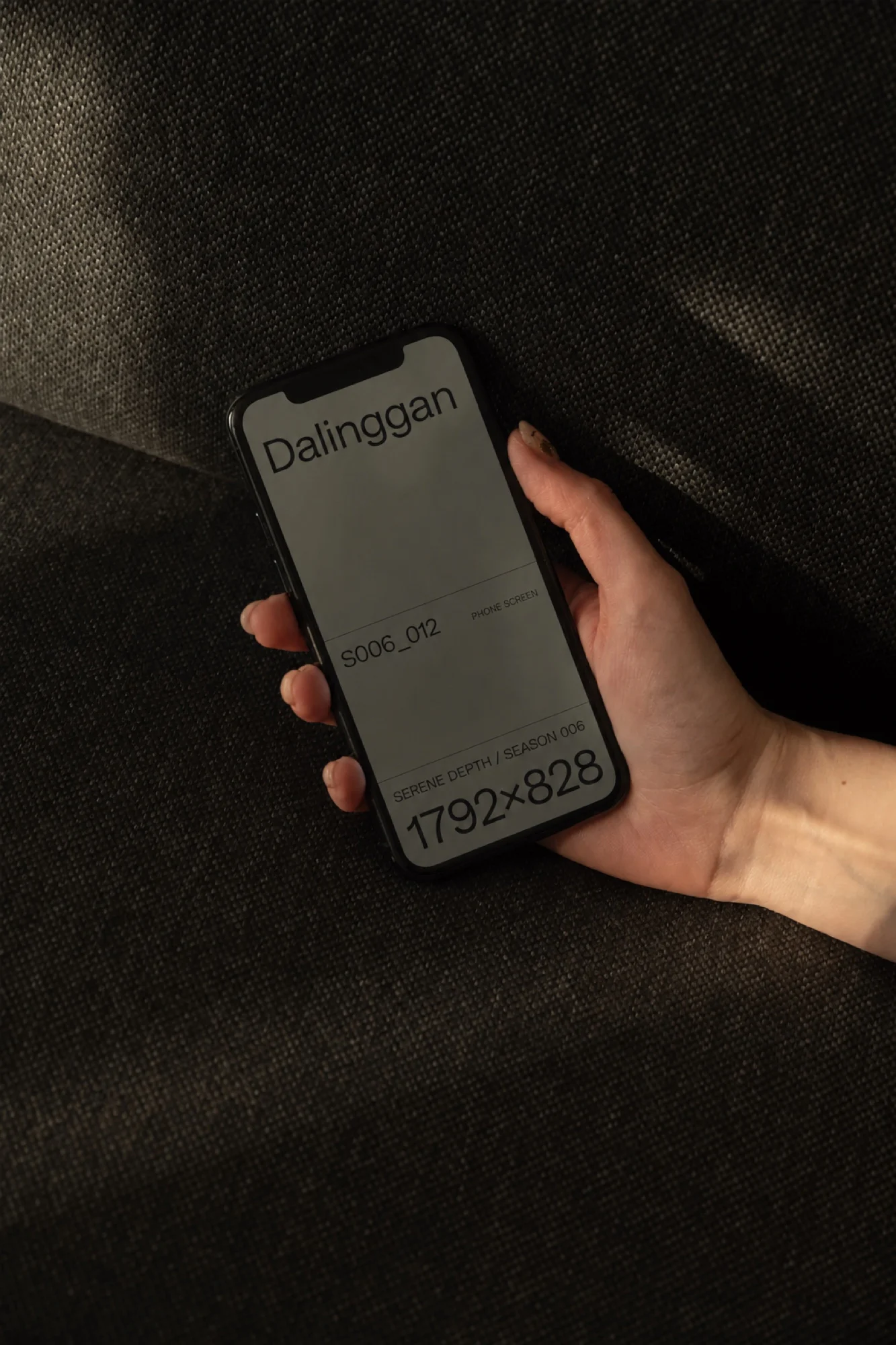 Apple iPhone 样机 S006-012样机效果图