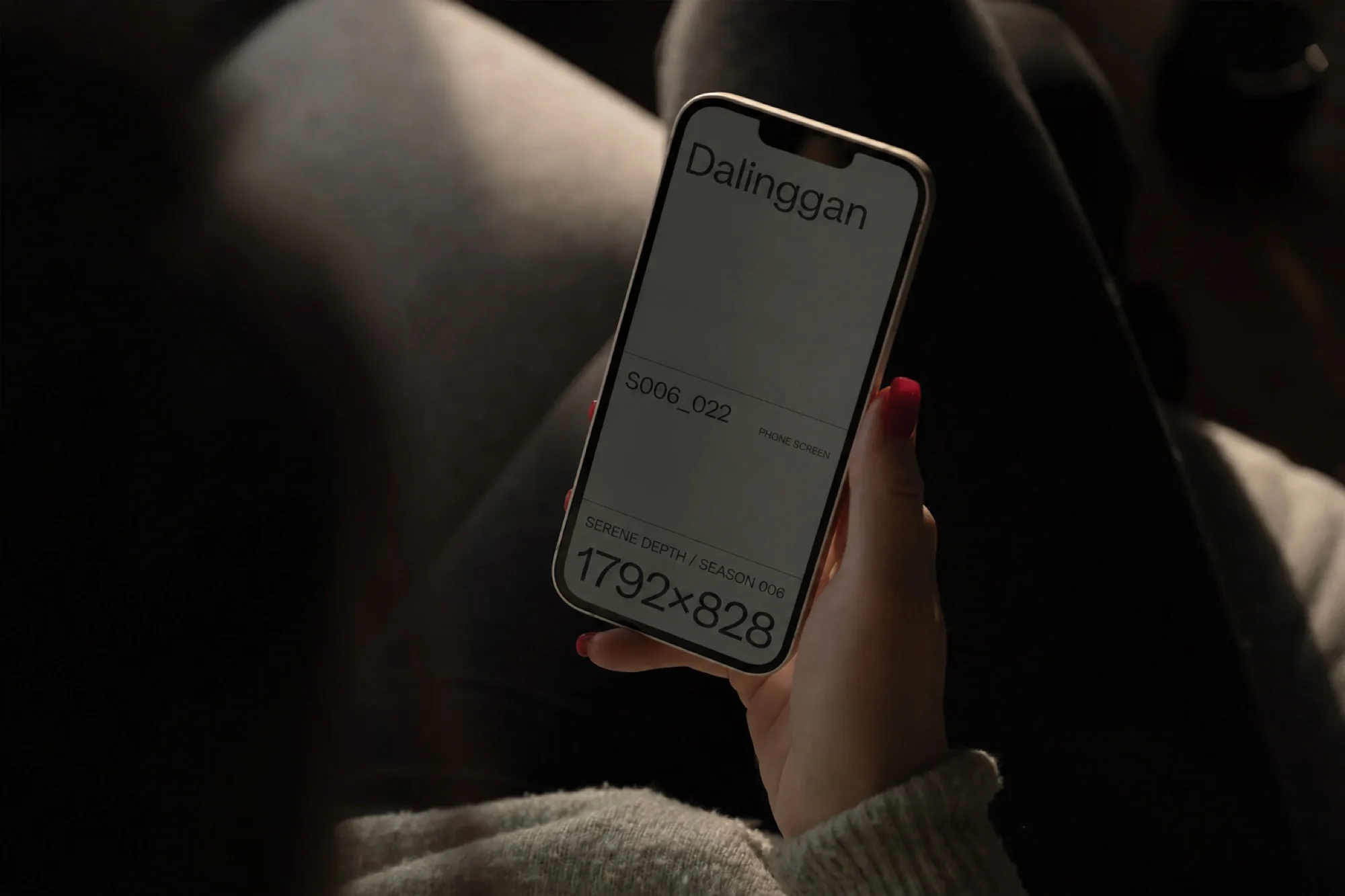 Apple iPhone 样机 S006-022样机效果图