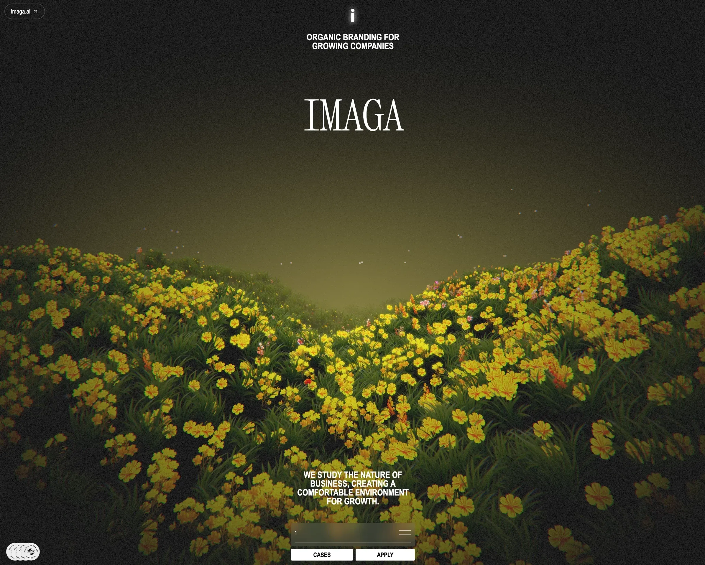 Imaga，人工智能、落地页 网站设计灵感详情图 1