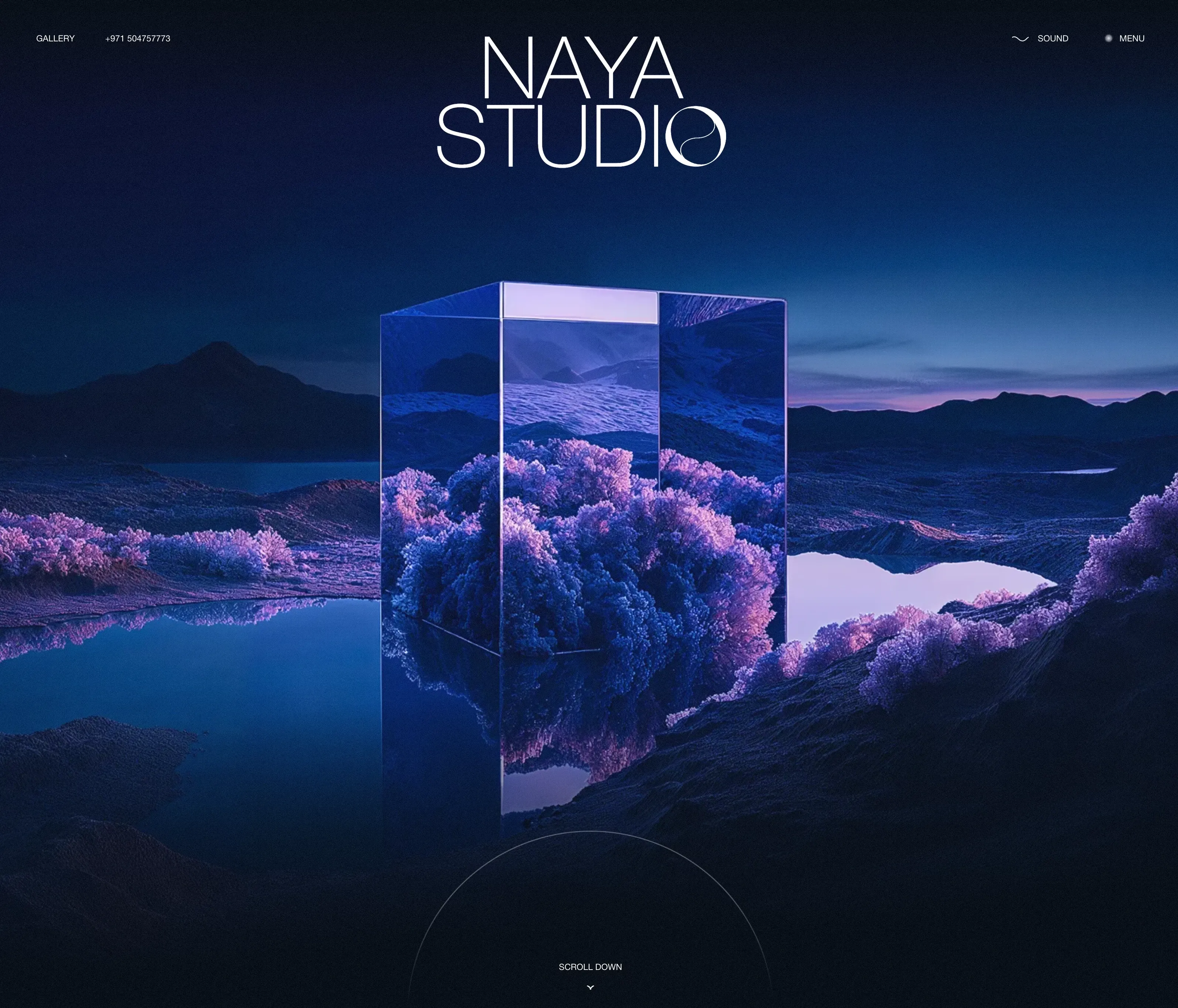 Naya Studio，SaaS 网站设计灵感详情图 1