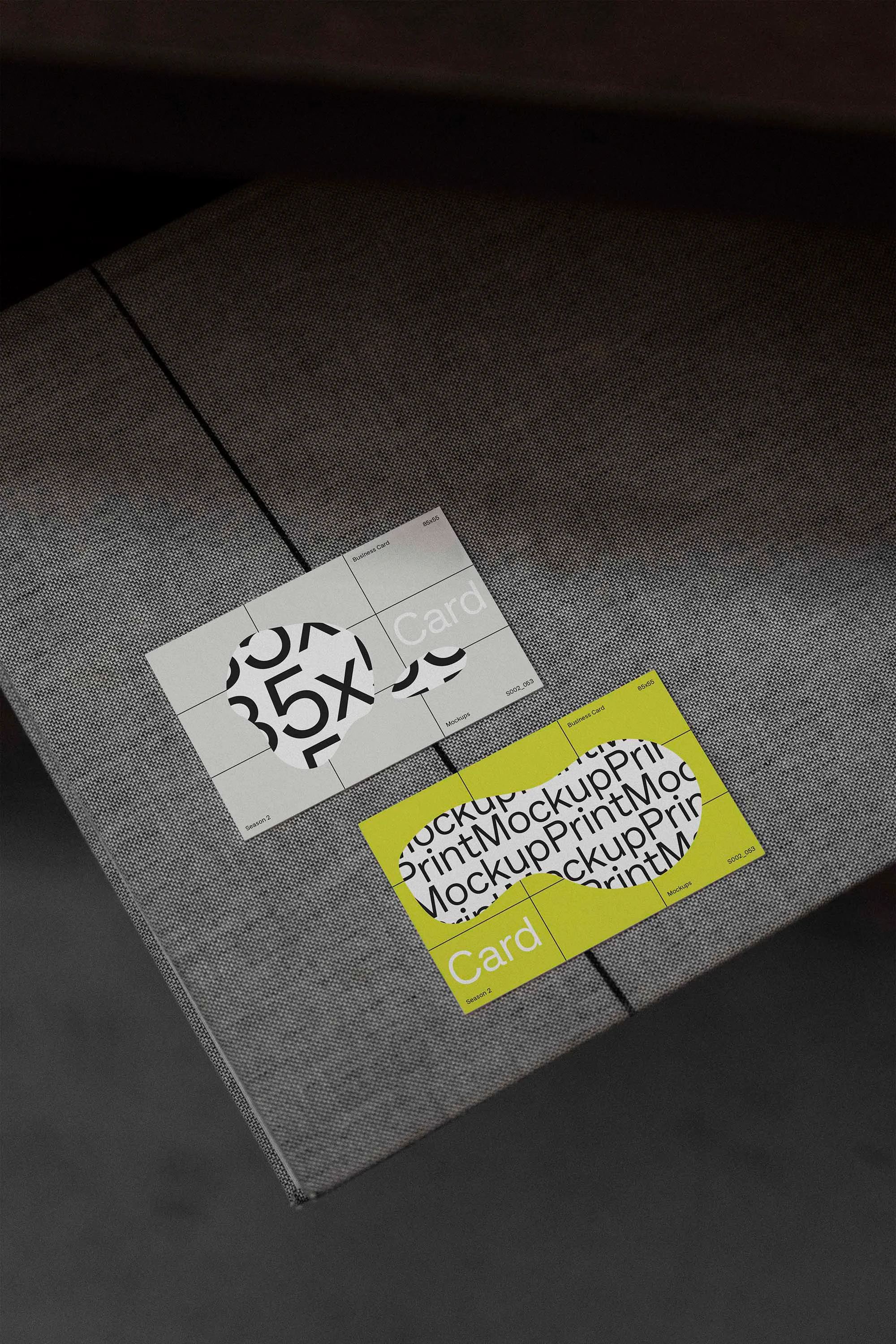 名片样机 S002-053样机效果图