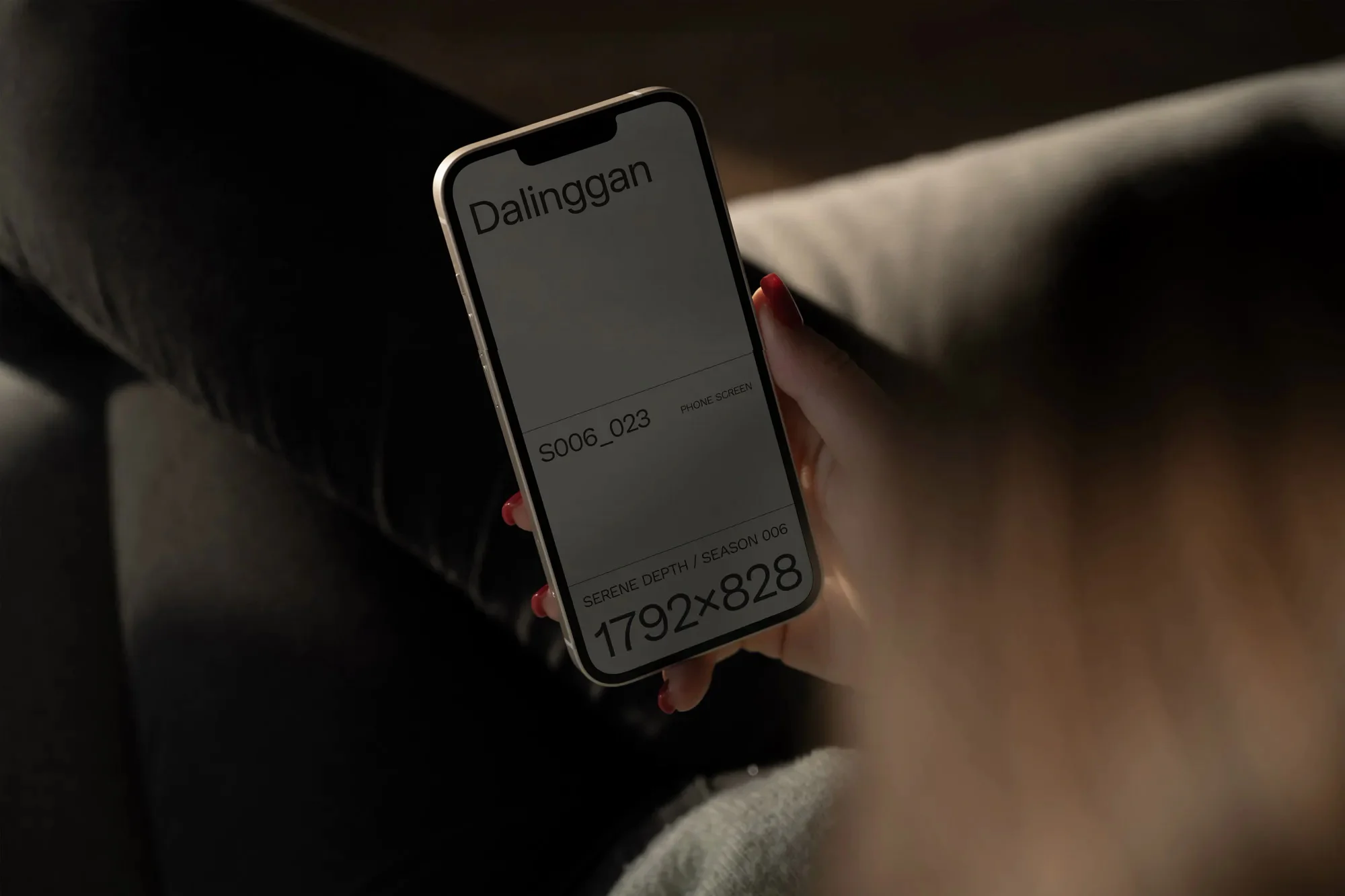 Apple iPhone 样机 S006-023样机效果图