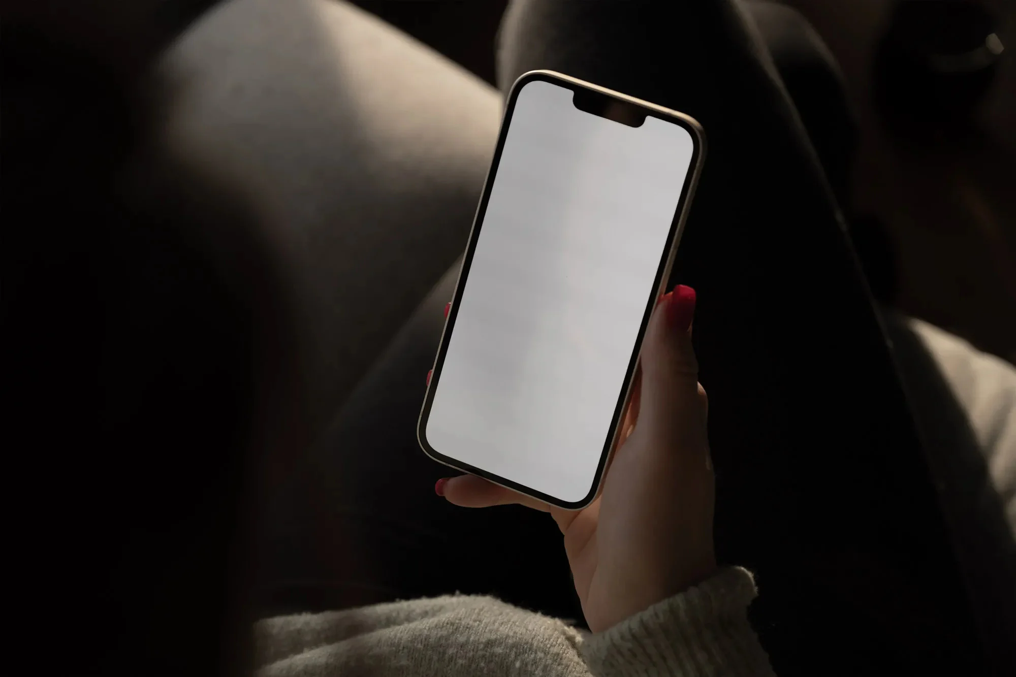 Apple iPhone 样机 S006-022详情图 2