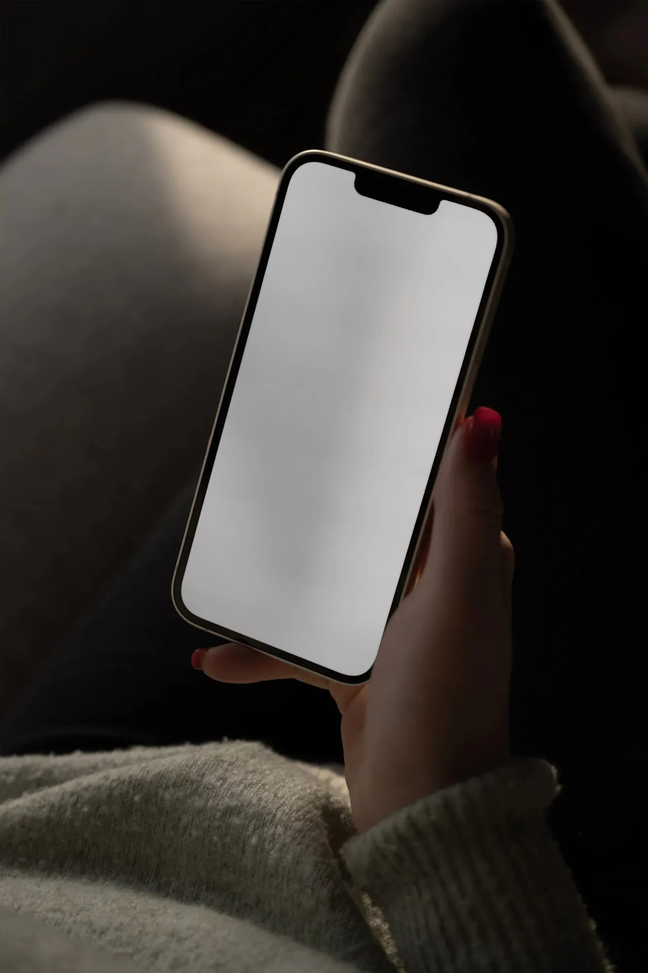 Apple iPhone 样机 S006-006详情图 2