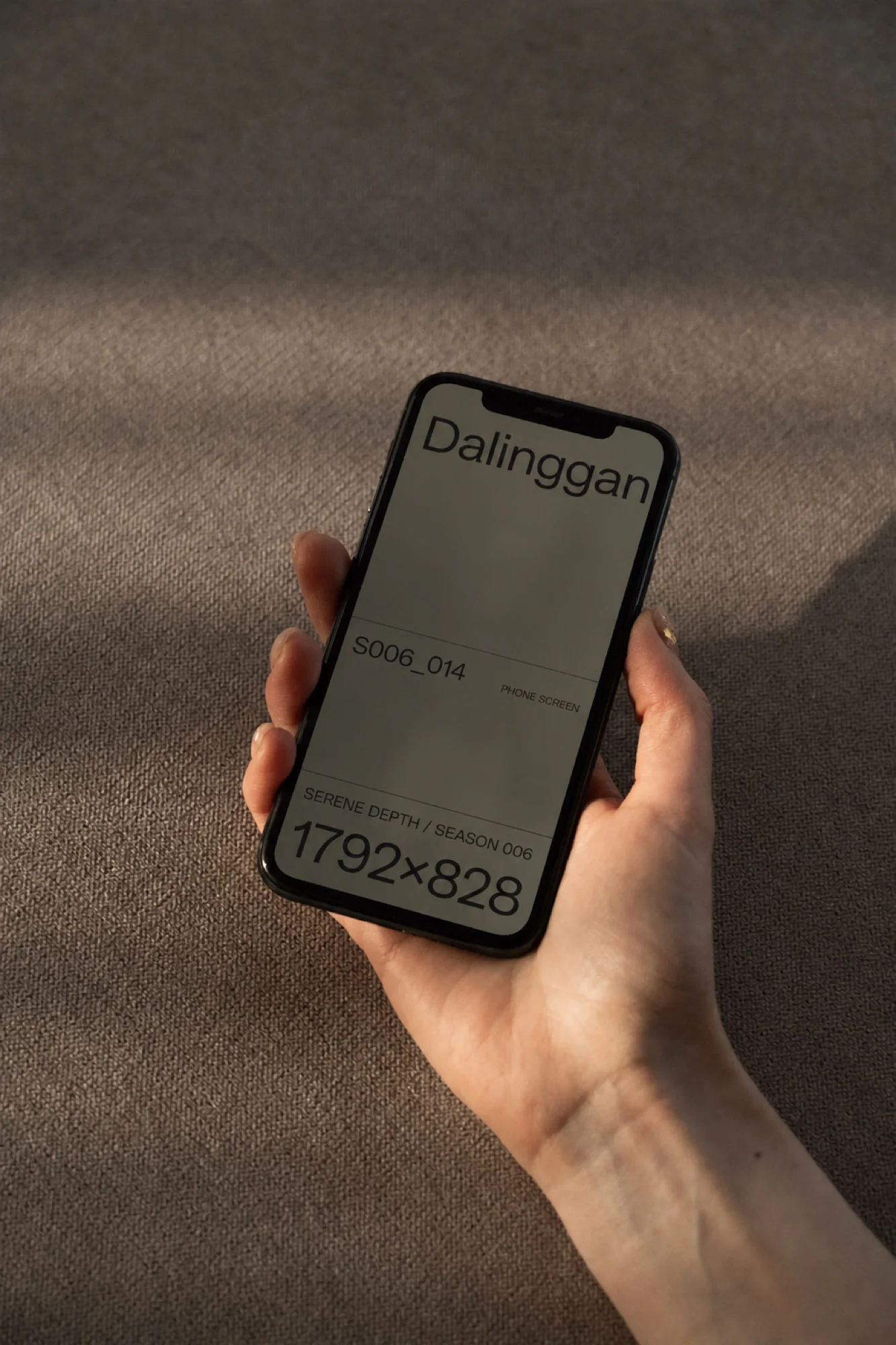 Apple iPhone 样机 S006-014样机效果图