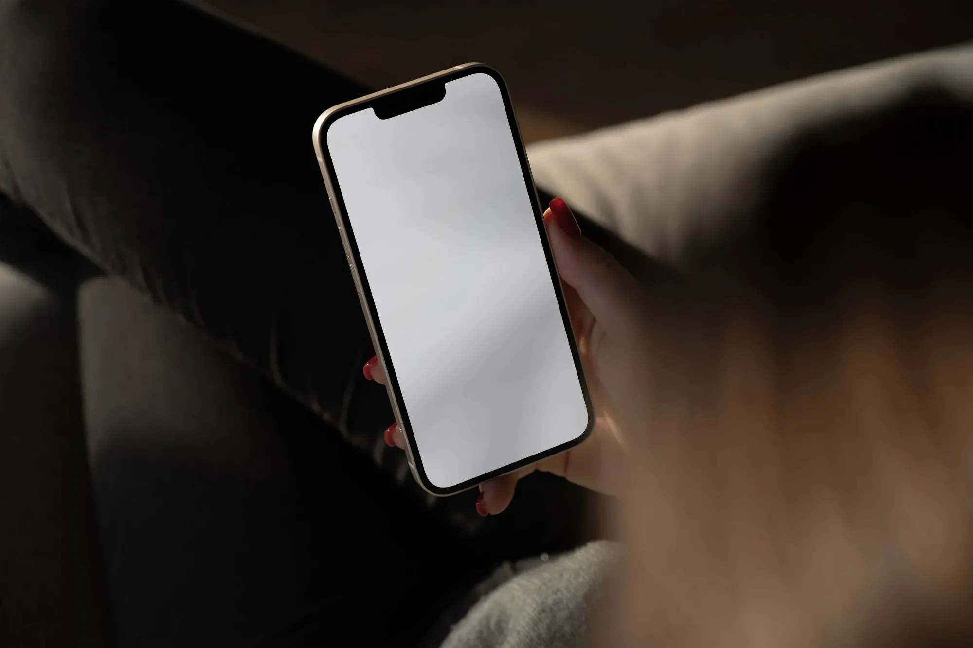 Apple iPhone 样机 S006-023详情图 2