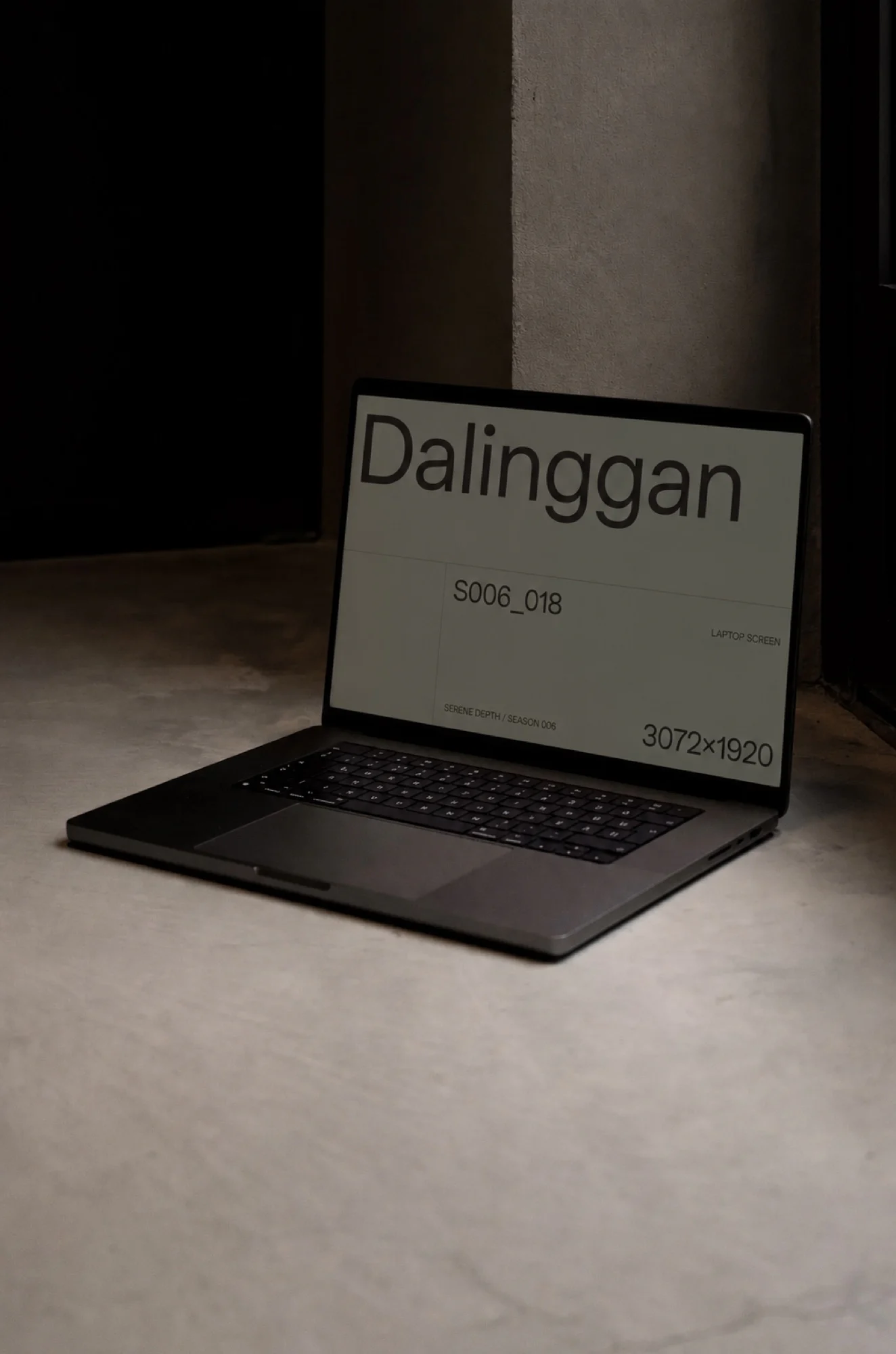 Apple MacBook 样机 S006-018样机效果图